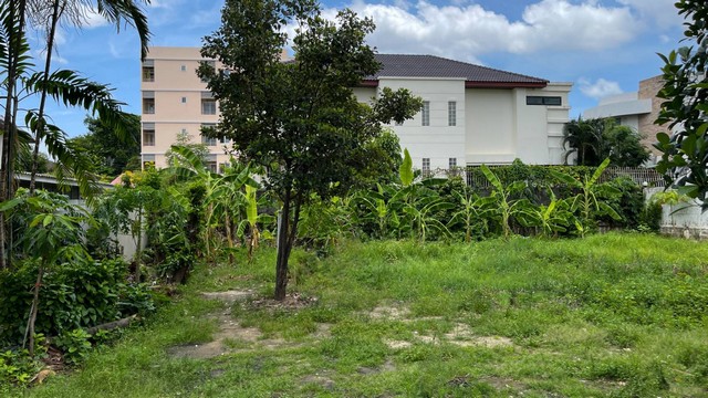 ประกาศฟรี! ซื้อ-ขาย-เช่า คอนโด บ้าน ทาวน์โฮม ที่ดิน และพื้นที่เชิงพาณิชย์ทั่วประเทศไทย ทุกทำเล ทุกงบประมาณ ไม่มีค่าใช้จ่าย ลงง่าย ขายไว เข้าถึงผู้ซื้อโดยตรง 4 504319pic3.jpg