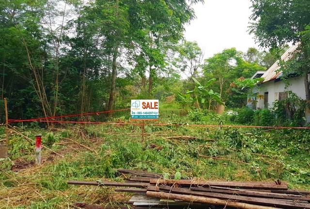 ประกาศฟรี! ซื้อ-ขาย-เช่า คอนโด บ้าน ทาวน์โฮม ที่ดิน และพื้นที่เชิงพาณิชย์ทั่วประเทศไทย ทุกทำเล ทุกงบประมาณ ไม่มีค่าใช้จ่าย ลงง่าย ขายไว เข้าถึงผู้ซื้อโดยตรง 2 233950pic1.jpg