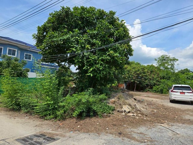 ประกาศฟรี! ซื้อ-ขาย-เช่า คอนโด บ้าน ทาวน์โฮม ที่ดิน และพื้นที่เชิงพาณิชย์ทั่วประเทศไทย ทุกทำเล ทุกงบประมาณ ไม่มีค่าใช้จ่าย ลงง่าย ขายไว เข้าถึงผู้ซื้อโดยตรง 3 292929pic2.jpg