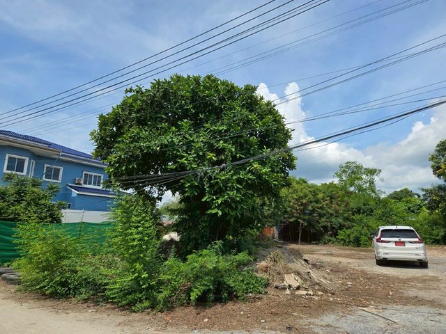 ประกาศฟรี! ซื้อ-ขาย-เช่า คอนโด บ้าน ทาวน์โฮม ที่ดิน และพื้นที่เชิงพาณิชย์ทั่วประเทศไทย ทุกทำเล ทุกงบประมาณ ไม่มีค่าใช้จ่าย ลงง่าย ขายไว เข้าถึงผู้ซื้อโดยตรง 5 292929pic4.jpg