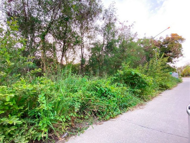 ประกาศฟรี! ซื้อ-ขาย-เช่า คอนโด บ้าน ทาวน์โฮม ที่ดิน และพื้นที่เชิงพาณิชย์ทั่วประเทศไทย ทุกทำเล ทุกงบประมาณ ไม่มีค่าใช้จ่าย ลงง่าย ขายไว เข้าถึงผู้ซื้อโดยตรง 5 292880pic4.jpg