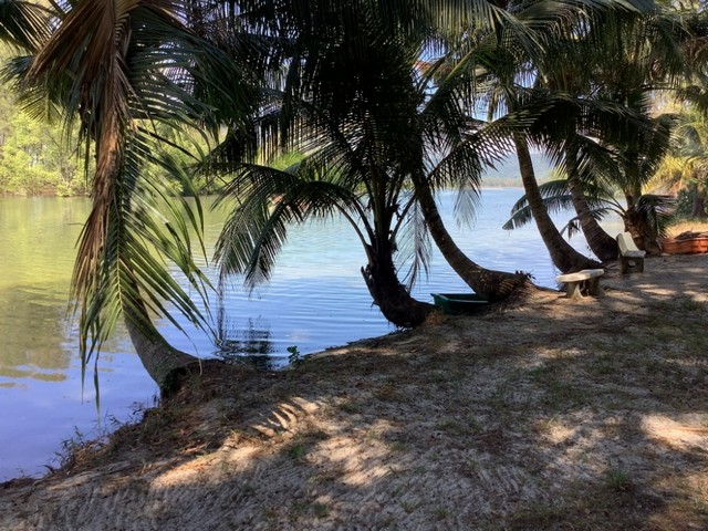 ประกาศฟรี! ซื้อ-ขาย-เช่า คอนโด บ้าน ทาวน์โฮม ที่ดิน และพื้นที่เชิงพาณิชย์ทั่วประเทศไทย ทุกทำเล ทุกงบประมาณ ไม่มีค่าใช้จ่าย ลงง่าย ขายไว เข้าถึงผู้ซื้อโดยตรง 4 11745pic3.jpg