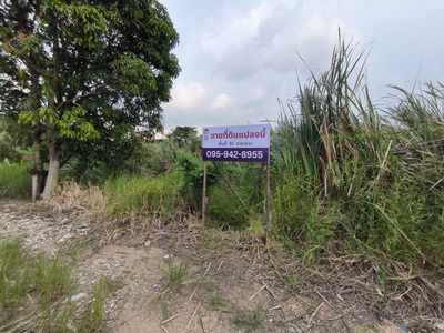 ประกาศฟรี! ซื้อ-ขาย-เช่า คอนโด บ้าน ทาวน์โฮม ที่ดิน และพื้นที่เชิงพาณิชย์ทั่วประเทศไทย ทุกทำเล ทุกงบประมาณ ไม่มีค่าใช้จ่าย ลงง่าย ขายไว เข้าถึงผู้ซื้อโดยตรง 2 292145pic1.jpg