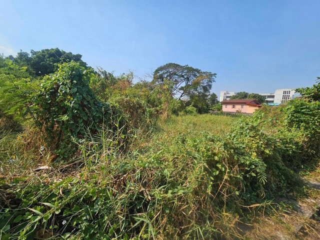 ประกาศฟรี! ซื้อ-ขาย-เช่า คอนโด บ้าน ทาวน์โฮม ที่ดิน และพื้นที่เชิงพาณิชย์ทั่วประเทศไทย ทุกทำเล ทุกงบประมาณ ไม่มีค่าใช้จ่าย ลงง่าย ขายไว เข้าถึงผู้ซื้อโดยตรง 2 307448pic1.jpg