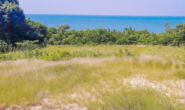 ประกาศฟรี! ซื้อ-ขาย-เช่า คอนโด บ้าน ทาวน์โฮม ที่ดิน และพื้นที่เชิงพาณิชย์ทั่วประเทศไทย ทุกทำเล ทุกงบประมาณ ไม่มีค่าใช้จ่าย ลงง่าย ขายไว เข้าถึงผู้ซื้อโดยตรง 5 11741pic4.jpg