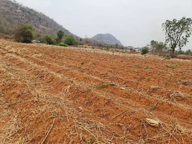 ประกาศฟรี! ซื้อ-ขาย-เช่า คอนโด บ้าน ทาวน์โฮม ที่ดิน และพื้นที่เชิงพาณิชย์ทั่วประเทศไทย ทุกทำเล ทุกงบประมาณ ไม่มีค่าใช้จ่าย ลงง่าย ขายไว เข้าถึงผู้ซื้อโดยตรง 3 11460pic2.jpg