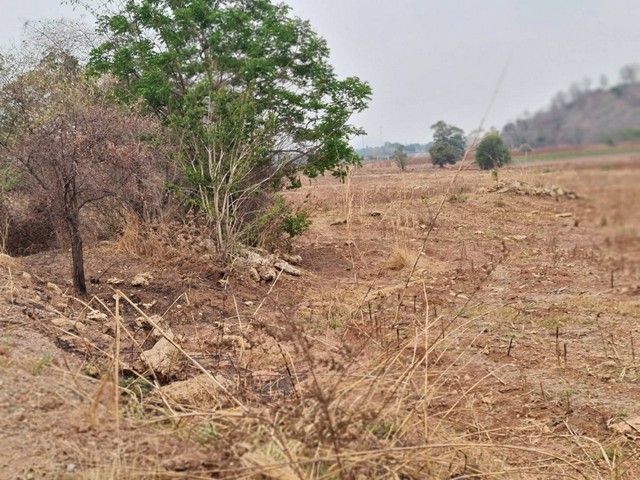 ประกาศฟรี! ซื้อ-ขาย-เช่า คอนโด บ้าน ทาวน์โฮม ที่ดิน และพื้นที่เชิงพาณิชย์ทั่วประเทศไทย ทุกทำเล ทุกงบประมาณ ไม่มีค่าใช้จ่าย ลงง่าย ขายไว เข้าถึงผู้ซื้อโดยตรง 4 11460pic3.jpg