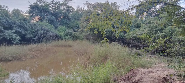 ประกาศฟรี! ซื้อ-ขาย-เช่า คอนโด บ้าน ทาวน์โฮม ที่ดิน และพื้นที่เชิงพาณิชย์ทั่วประเทศไทย ทุกทำเล ทุกงบประมาณ ไม่มีค่าใช้จ่าย ลงง่าย ขายไว เข้าถึงผู้ซื้อโดยตรง 2 7382pic1.jpg