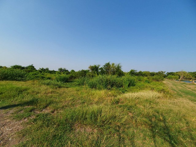 ประกาศฟรี! ซื้อ-ขาย-เช่า คอนโด บ้าน ทาวน์โฮม ที่ดิน และพื้นที่เชิงพาณิชย์ทั่วประเทศไทย ทุกทำเล ทุกงบประมาณ ไม่มีค่าใช้จ่าย ลงง่าย ขายไว เข้าถึงผู้ซื้อโดยตรง 5 307523pic4.jpg