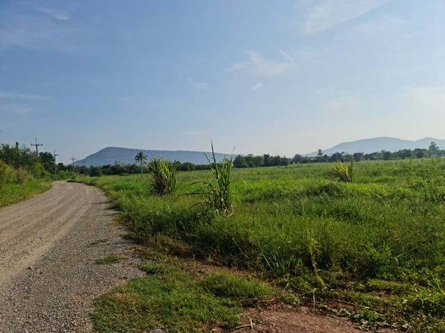 ประกาศฟรี! ซื้อ-ขาย-เช่า คอนโด บ้าน ทาวน์โฮม ที่ดิน และพื้นที่เชิงพาณิชย์ทั่วประเทศไทย ทุกทำเล ทุกงบประมาณ ไม่มีค่าใช้จ่าย ลงง่าย ขายไว เข้าถึงผู้ซื้อโดยตรง 2 294469pic1.jpg