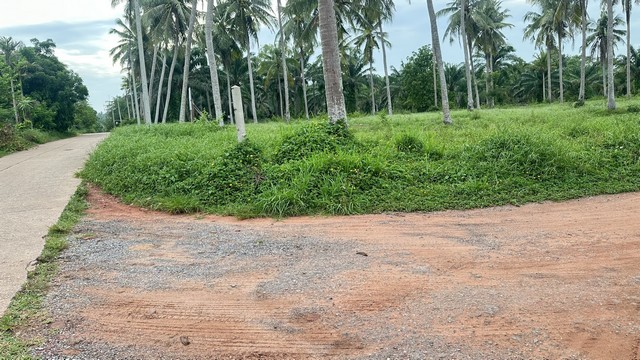 ประกาศฟรี! ซื้อ-ขาย-เช่า คอนโด บ้าน ทาวน์โฮม ที่ดิน และพื้นที่เชิงพาณิชย์ทั่วประเทศไทย ทุกทำเล ทุกงบประมาณ ไม่มีค่าใช้จ่าย ลงง่าย ขายไว เข้าถึงผู้ซื้อโดยตรง 2 294468pic1.jpg