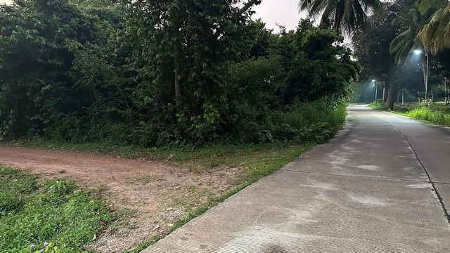 ประกาศฟรี! ซื้อ-ขาย-เช่า คอนโด บ้าน ทาวน์โฮม ที่ดิน และพื้นที่เชิงพาณิชย์ทั่วประเทศไทย ทุกทำเล ทุกงบประมาณ ไม่มีค่าใช้จ่าย ลงง่าย ขายไว เข้าถึงผู้ซื้อโดยตรง 4 293631pic3.jpg