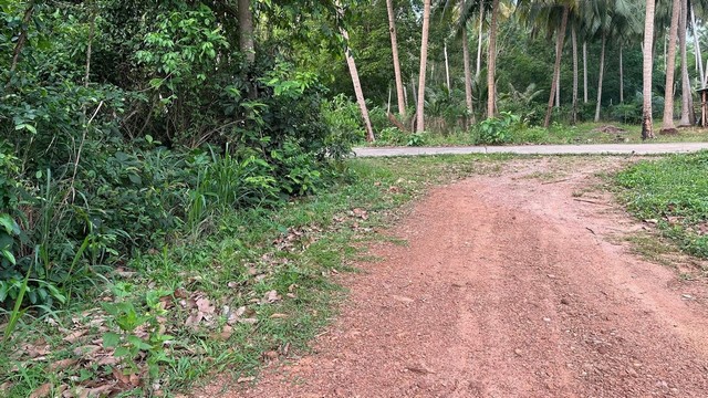 ประกาศฟรี! ซื้อ-ขาย-เช่า คอนโด บ้าน ทาวน์โฮม ที่ดิน และพื้นที่เชิงพาณิชย์ทั่วประเทศไทย ทุกทำเล ทุกงบประมาณ ไม่มีค่าใช้จ่าย ลงง่าย ขายไว เข้าถึงผู้ซื้อโดยตรง 5 293631pic4.jpg