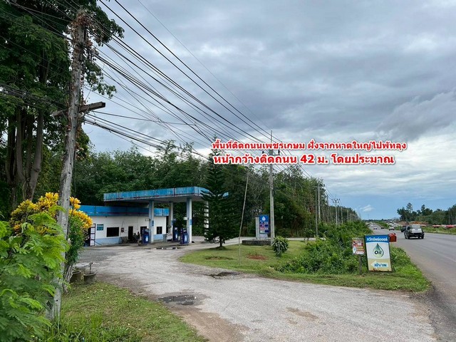 ประกาศฟรี! ซื้อ-ขาย-เช่า คอนโด บ้าน ทาวน์โฮม ที่ดิน และพื้นที่เชิงพาณิชย์ทั่วประเทศไทย ทุกทำเล ทุกงบประมาณ ไม่มีค่าใช้จ่าย ลงง่าย ขายไว เข้าถึงผู้ซื้อโดยตรง 3 307568pic2.jpg