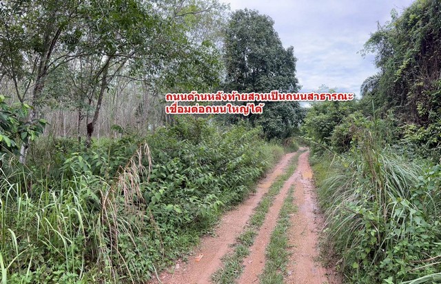 ประกาศฟรี! ซื้อ-ขาย-เช่า คอนโด บ้าน ทาวน์โฮม ที่ดิน และพื้นที่เชิงพาณิชย์ทั่วประเทศไทย ทุกทำเล ทุกงบประมาณ ไม่มีค่าใช้จ่าย ลงง่าย ขายไว เข้าถึงผู้ซื้อโดยตรง 5 307568pic4.jpg