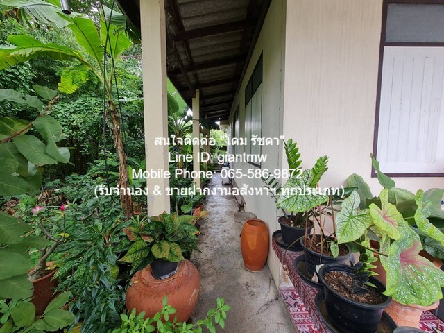 ประกาศฟรี! ซื้อ-ขาย-เช่า คอนโด บ้าน ทาวน์โฮม ที่ดิน และพื้นที่เชิงพาณิชย์ทั่วประเทศไทย ทุกทำเล ทุกงบประมาณ ไม่มีค่าใช้จ่าย ลงง่าย ขายไว เข้าถึงผู้ซื้อโดยตรง 4 21782pic3.jpg