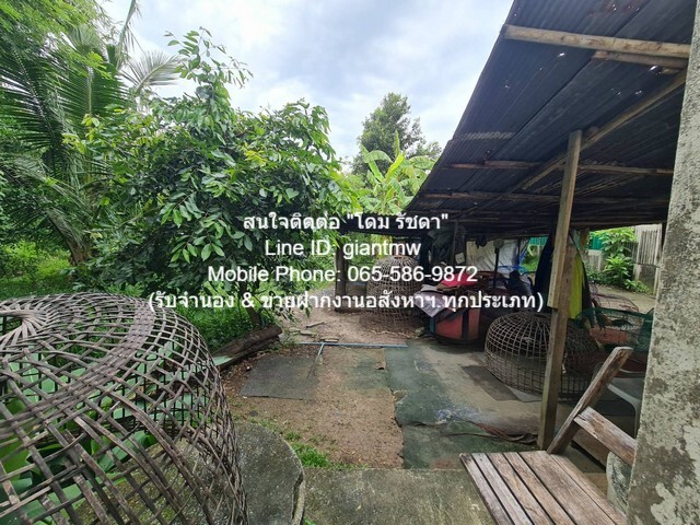 ประกาศฟรี! ซื้อ-ขาย-เช่า คอนโด บ้าน ทาวน์โฮม ที่ดิน และพื้นที่เชิงพาณิชย์ทั่วประเทศไทย ทุกทำเล ทุกงบประมาณ ไม่มีค่าใช้จ่าย ลงง่าย ขายไว เข้าถึงผู้ซื้อโดยตรง 5 21782pic4.jpg