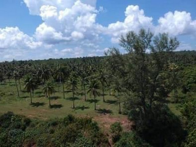 ประกาศฟรี! ซื้อ-ขาย-เช่า คอนโด บ้าน ทาวน์โฮม ที่ดิน และพื้นที่เชิงพาณิชย์ทั่วประเทศไทย ทุกทำเล ทุกงบประมาณ ไม่มีค่าใช้จ่าย ลงง่าย ขายไว เข้าถึงผู้ซื้อโดยตรง 5 12622pic4.jpg