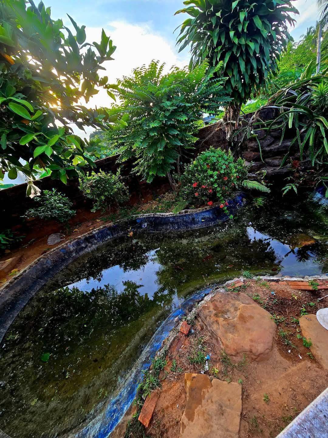 ประกาศฟรี! ซื้อ-ขาย-เช่า คอนโด บ้าน ทาวน์โฮม ที่ดิน และพื้นที่เชิงพาณิชย์ทั่วประเทศไทย ทุกทำเล ทุกงบประมาณ ไม่มีค่าใช้จ่าย ลงง่าย ขายไว เข้าถึงผู้ซื้อโดยตรง 5 307631pic4.jpg