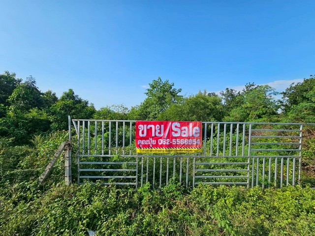 ประกาศฟรี! ซื้อ-ขาย-เช่า คอนโด บ้าน ทาวน์โฮม ที่ดิน และพื้นที่เชิงพาณิชย์ทั่วประเทศไทย ทุกทำเล ทุกงบประมาณ ไม่มีค่าใช้จ่าย ลงง่าย ขายไว เข้าถึงผู้ซื้อโดยตรง 2 307622pic1.jpg