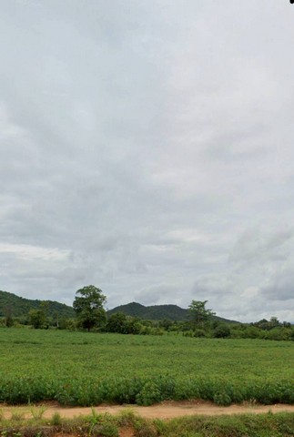 ประกาศฟรี! ซื้อ-ขาย-เช่า คอนโด บ้าน ทาวน์โฮม ที่ดิน และพื้นที่เชิงพาณิชย์ทั่วประเทศไทย ทุกทำเล ทุกงบประมาณ ไม่มีค่าใช้จ่าย ลงง่าย ขายไว เข้าถึงผู้ซื้อโดยตรง 2 234403pic1.jpg