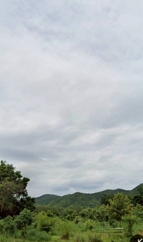 ประกาศฟรี! ซื้อ-ขาย-เช่า คอนโด บ้าน ทาวน์โฮม ที่ดิน และพื้นที่เชิงพาณิชย์ทั่วประเทศไทย ทุกทำเล ทุกงบประมาณ ไม่มีค่าใช้จ่าย ลงง่าย ขายไว เข้าถึงผู้ซื้อโดยตรง 3 234403pic2.jpg