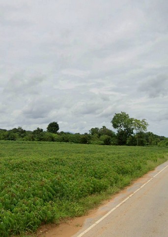 ประกาศฟรี! ซื้อ-ขาย-เช่า คอนโด บ้าน ทาวน์โฮม ที่ดิน และพื้นที่เชิงพาณิชย์ทั่วประเทศไทย ทุกทำเล ทุกงบประมาณ ไม่มีค่าใช้จ่าย ลงง่าย ขายไว เข้าถึงผู้ซื้อโดยตรง 4 234403pic3.jpg