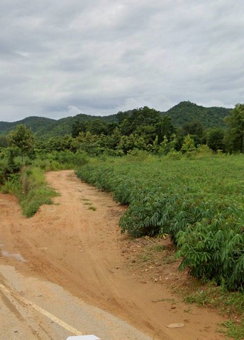 ประกาศฟรี! ซื้อ-ขาย-เช่า คอนโด บ้าน ทาวน์โฮม ที่ดิน และพื้นที่เชิงพาณิชย์ทั่วประเทศไทย ทุกทำเล ทุกงบประมาณ ไม่มีค่าใช้จ่าย ลงง่าย ขายไว เข้าถึงผู้ซื้อโดยตรง 5 234403pic4.jpg