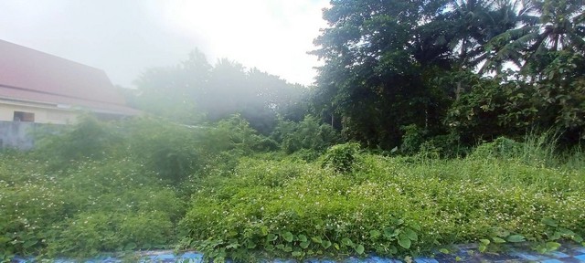 ประกาศฟรี! ซื้อ-ขาย-เช่า คอนโด บ้าน ทาวน์โฮม ที่ดิน และพื้นที่เชิงพาณิชย์ทั่วประเทศไทย ทุกทำเล ทุกงบประมาณ ไม่มีค่าใช้จ่าย ลงง่าย ขายไว เข้าถึงผู้ซื้อโดยตรง 2 234399pic1.jpg