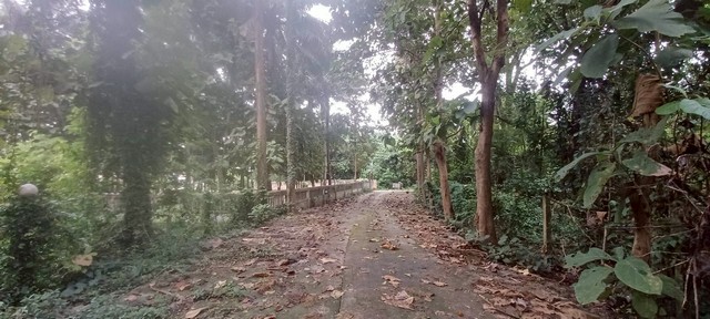 ประกาศฟรี! ซื้อ-ขาย-เช่า คอนโด บ้าน ทาวน์โฮม ที่ดิน และพื้นที่เชิงพาณิชย์ทั่วประเทศไทย ทุกทำเล ทุกงบประมาณ ไม่มีค่าใช้จ่าย ลงง่าย ขายไว เข้าถึงผู้ซื้อโดยตรง 5 234399pic4.jpg