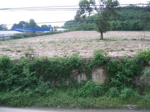 ประกาศฟรี! ซื้อ-ขาย-เช่า คอนโด บ้าน ทาวน์โฮม ที่ดิน และพื้นที่เชิงพาณิชย์ทั่วประเทศไทย ทุกทำเล ทุกงบประมาณ ไม่มีค่าใช้จ่าย ลงง่าย ขายไว เข้าถึงผู้ซื้อโดยตรง 2 307656pic1.jpg