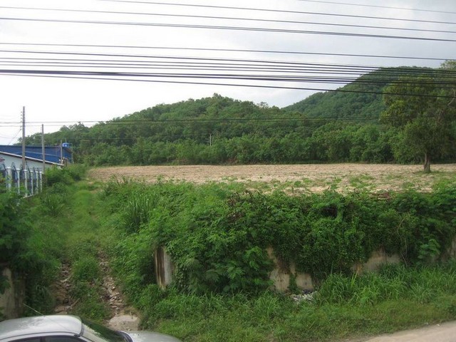 ประกาศฟรี! ซื้อ-ขาย-เช่า คอนโด บ้าน ทาวน์โฮม ที่ดิน และพื้นที่เชิงพาณิชย์ทั่วประเทศไทย ทุกทำเล ทุกงบประมาณ ไม่มีค่าใช้จ่าย ลงง่าย ขายไว เข้าถึงผู้ซื้อโดยตรง 3 307656pic2.jpg