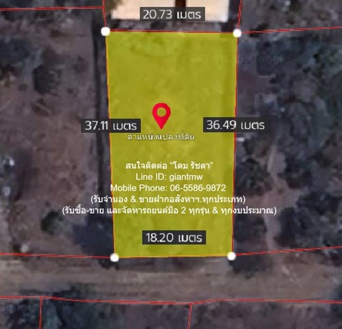 ประกาศฟรี! ซื้อ-ขาย-เช่า คอนโด บ้าน ทาวน์โฮม ที่ดิน และพื้นที่เชิงพาณิชย์ทั่วประเทศไทย ทุกทำเล ทุกงบประมาณ ไม่มีค่าใช้จ่าย ลงง่าย ขายไว เข้าถึงผู้ซื้อโดยตรง 2 307470pic1.jpg