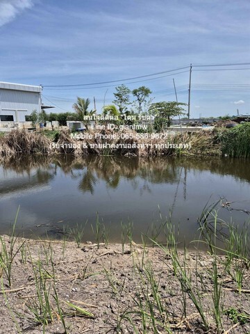 ประกาศฟรี! ซื้อ-ขาย-เช่า คอนโด บ้าน ทาวน์โฮม ที่ดิน และพื้นที่เชิงพาณิชย์ทั่วประเทศไทย ทุกทำเล ทุกงบประมาณ ไม่มีค่าใช้จ่าย ลงง่าย ขายไว เข้าถึงผู้ซื้อโดยตรง 5 21649pic4.jpg