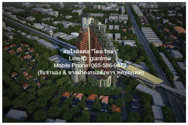 ประกาศฟรี! ซื้อ-ขาย-เช่า คอนโด บ้าน ทาวน์โฮม ที่ดิน และพื้นที่เชิงพาณิชย์ทั่วประเทศไทย ทุกทำเล ทุกงบประมาณ ไม่มีค่าใช้จ่าย ลงง่าย ขายไว เข้าถึงผู้ซื้อโดยตรง 2 21363pic1.jpg