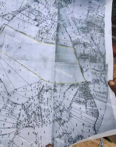 ประกาศฟรี! ซื้อ-ขาย-เช่า คอนโด บ้าน ทาวน์โฮม ที่ดิน และพื้นที่เชิงพาณิชย์ทั่วประเทศไทย ทุกทำเล ทุกงบประมาณ ไม่มีค่าใช้จ่าย ลงง่าย ขายไว เข้าถึงผู้ซื้อโดยตรง 3 307821pic2.jpg