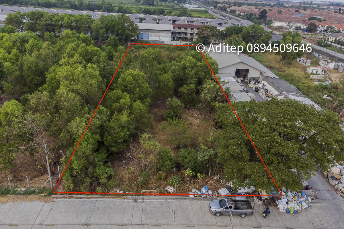 ประกาศฟรี! ซื้อ-ขาย-เช่า คอนโด บ้าน ทาวน์โฮม ที่ดิน และพื้นที่เชิงพาณิชย์ทั่วประเทศไทย ทุกทำเล ทุกงบประมาณ ไม่มีค่าใช้จ่าย ลงง่าย ขายไว เข้าถึงผู้ซื้อโดยตรง 4 307694pic3.jpg