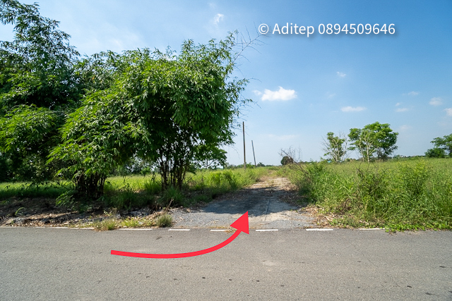 ประกาศฟรี! ซื้อ-ขาย-เช่า คอนโด บ้าน ทาวน์โฮม ที่ดิน และพื้นที่เชิงพาณิชย์ทั่วประเทศไทย ทุกทำเล ทุกงบประมาณ ไม่มีค่าใช้จ่าย ลงง่าย ขายไว เข้าถึงผู้ซื้อโดยตรง 4 307689pic3.jpg