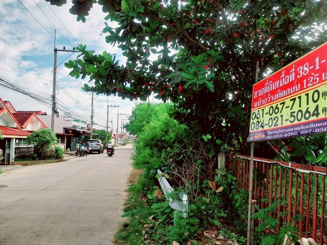 ประกาศฟรี! ซื้อ-ขาย-เช่า คอนโด บ้าน ทาวน์โฮม ที่ดิน และพื้นที่เชิงพาณิชย์ทั่วประเทศไทย ทุกทำเล ทุกงบประมาณ ไม่มีค่าใช้จ่าย ลงง่าย ขายไว เข้าถึงผู้ซื้อโดยตรง 3 504829pic2.jpg