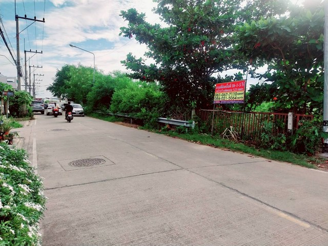 ประกาศฟรี! ซื้อ-ขาย-เช่า คอนโด บ้าน ทาวน์โฮม ที่ดิน และพื้นที่เชิงพาณิชย์ทั่วประเทศไทย ทุกทำเล ทุกงบประมาณ ไม่มีค่าใช้จ่าย ลงง่าย ขายไว เข้าถึงผู้ซื้อโดยตรง 5 504829pic4.jpg