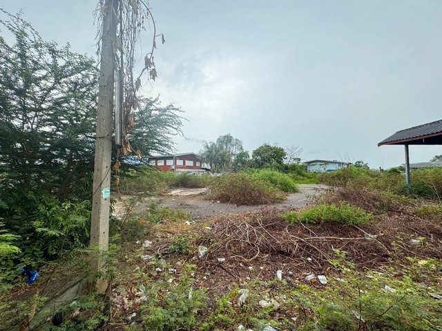 ประกาศฟรี! ซื้อ-ขาย-เช่า คอนโด บ้าน ทาวน์โฮม ที่ดิน และพื้นที่เชิงพาณิชย์ทั่วประเทศไทย ทุกทำเล ทุกงบประมาณ ไม่มีค่าใช้จ่าย ลงง่าย ขายไว เข้าถึงผู้ซื้อโดยตรง 5 307849pic4.jpg