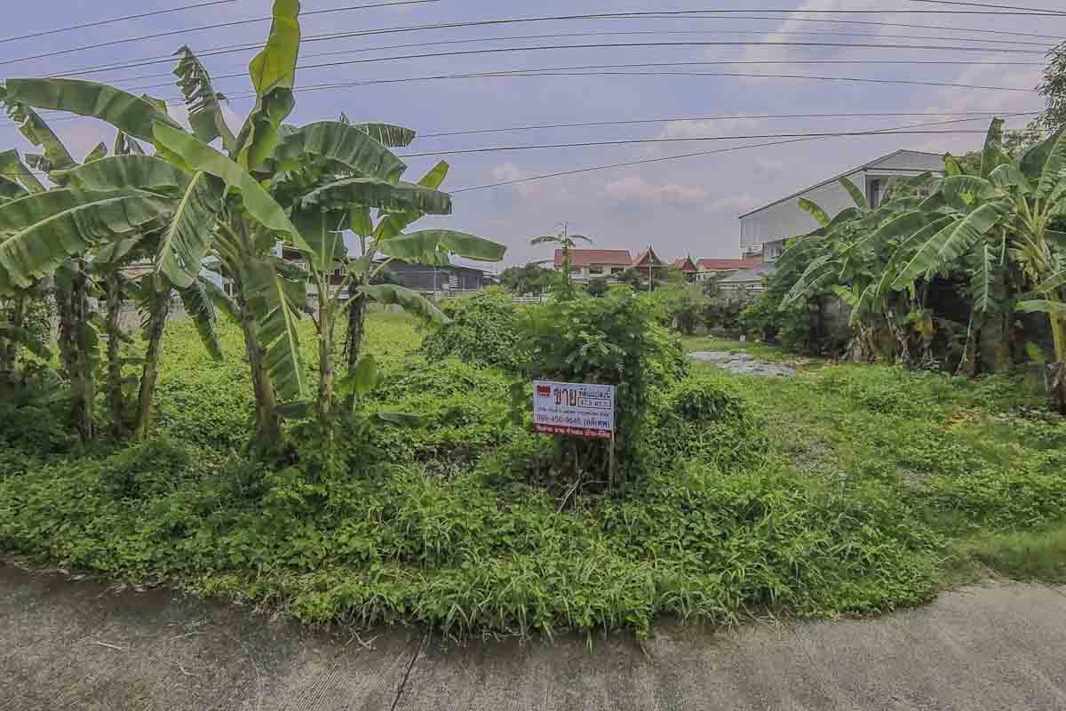 ประกาศฟรี! ซื้อ-ขาย-เช่า คอนโด บ้าน ทาวน์โฮม ที่ดิน และพื้นที่เชิงพาณิชย์ทั่วประเทศไทย ทุกทำเล ทุกงบประมาณ ไม่มีค่าใช้จ่าย ลงง่าย ขายไว เข้าถึงผู้ซื้อโดยตรง 4 305315pic3.jpg