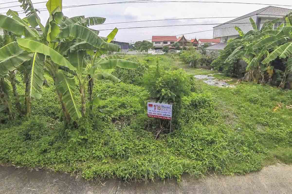 ประกาศฟรี! ซื้อ-ขาย-เช่า คอนโด บ้าน ทาวน์โฮม ที่ดิน และพื้นที่เชิงพาณิชย์ทั่วประเทศไทย ทุกทำเล ทุกงบประมาณ ไม่มีค่าใช้จ่าย ลงง่าย ขายไว เข้าถึงผู้ซื้อโดยตรง 5 305315pic4.jpg