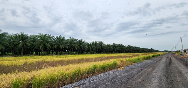 ประกาศฟรี! ซื้อ-ขาย-เช่า คอนโด บ้าน ทาวน์โฮม ที่ดิน และพื้นที่เชิงพาณิชย์ทั่วประเทศไทย ทุกทำเล ทุกงบประมาณ ไม่มีค่าใช้จ่าย ลงง่าย ขายไว เข้าถึงผู้ซื้อโดยตรง 3 504938pic2.jpg