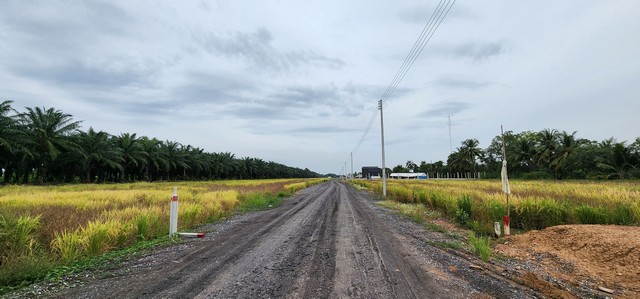 ประกาศฟรี! ซื้อ-ขาย-เช่า คอนโด บ้าน ทาวน์โฮม ที่ดิน และพื้นที่เชิงพาณิชย์ทั่วประเทศไทย ทุกทำเล ทุกงบประมาณ ไม่มีค่าใช้จ่าย ลงง่าย ขายไว เข้าถึงผู้ซื้อโดยตรง 5 504938pic4.jpg