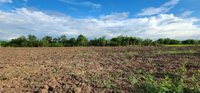 ประกาศฟรี! ซื้อ-ขาย-เช่า คอนโด บ้าน ทาวน์โฮม ที่ดิน และพื้นที่เชิงพาณิชย์ทั่วประเทศไทย ทุกทำเล ทุกงบประมาณ ไม่มีค่าใช้จ่าย ลงง่าย ขายไว เข้าถึงผู้ซื้อโดยตรง 4 496713pic3.jpg