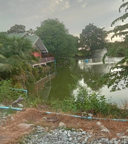 ประกาศฟรี! ซื้อ-ขาย-เช่า คอนโด บ้าน ทาวน์โฮม ที่ดิน และพื้นที่เชิงพาณิชย์ทั่วประเทศไทย ทุกทำเล ทุกงบประมาณ ไม่มีค่าใช้จ่าย ลงง่าย ขายไว เข้าถึงผู้ซื้อโดยตรง 3 298242pic2.jpg