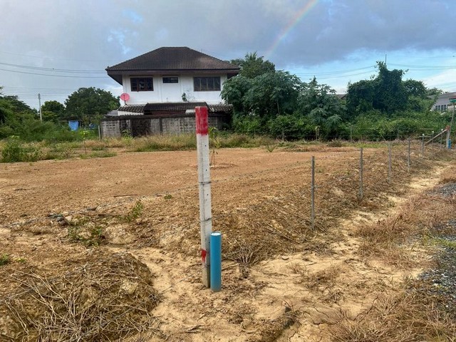 ประกาศฟรี! ซื้อ-ขาย-เช่า คอนโด บ้าน ทาวน์โฮม ที่ดิน และพื้นที่เชิงพาณิชย์ทั่วประเทศไทย ทุกทำเล ทุกงบประมาณ ไม่มีค่าใช้จ่าย ลงง่าย ขายไว เข้าถึงผู้ซื้อโดยตรง 3 235251pic2.jpg