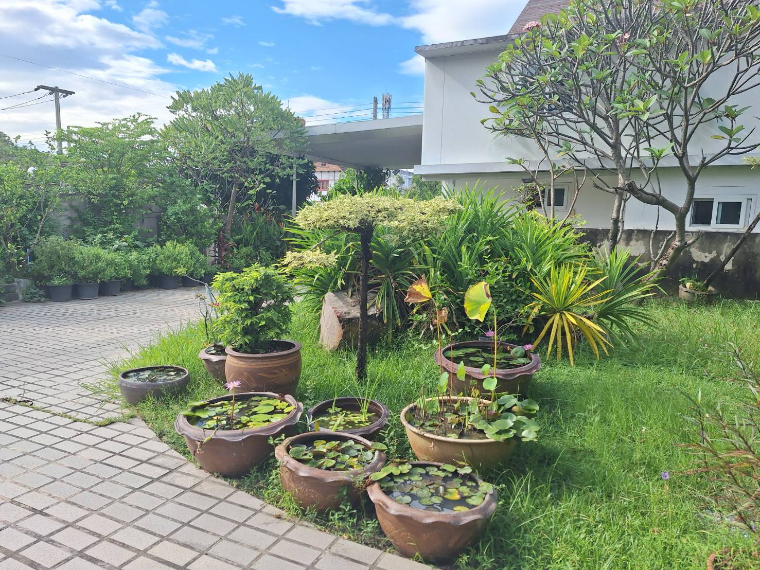 ประกาศฟรี! ซื้อ-ขาย-เช่า คอนโด บ้าน ทาวน์โฮม ที่ดิน และพื้นที่เชิงพาณิชย์ทั่วประเทศไทย ทุกทำเล ทุกงบประมาณ ไม่มีค่าใช้จ่าย ลงง่าย ขายไว เข้าถึงผู้ซื้อโดยตรง 2 292299pic1.jpg