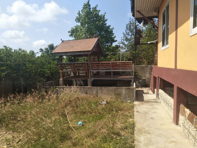 ประกาศฟรี! ซื้อ-ขาย-เช่า คอนโด บ้าน ทาวน์โฮม ที่ดิน และพื้นที่เชิงพาณิชย์ทั่วประเทศไทย ทุกทำเล ทุกงบประมาณ ไม่มีค่าใช้จ่าย ลงง่าย ขายไว เข้าถึงผู้ซื้อโดยตรง 3 232832pic2.jpg